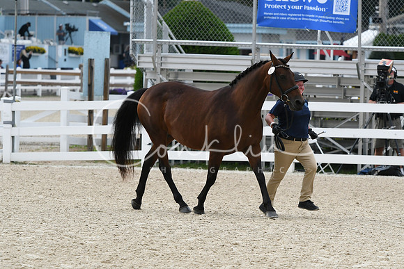HSM_2551