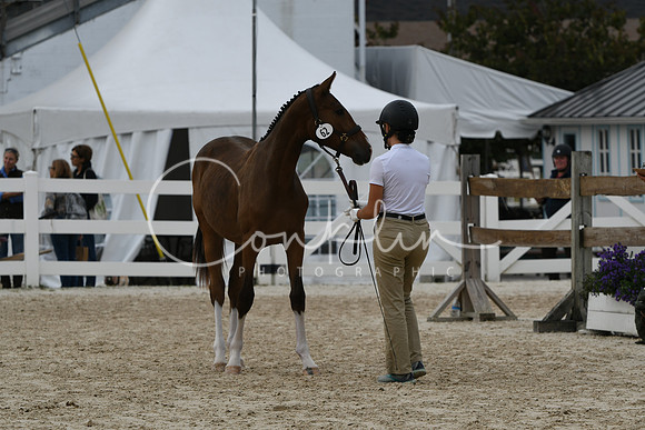 HSM_2423