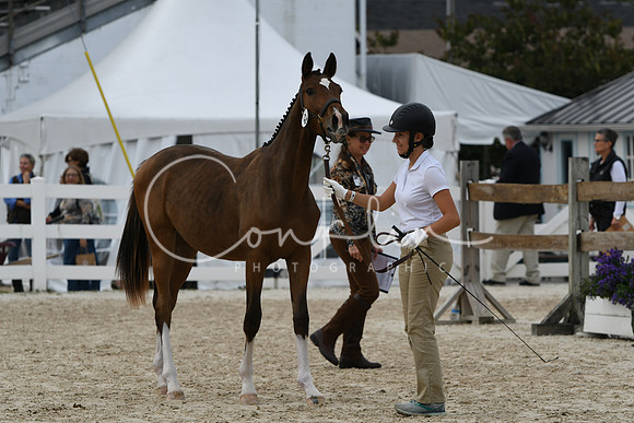 HSM_2429