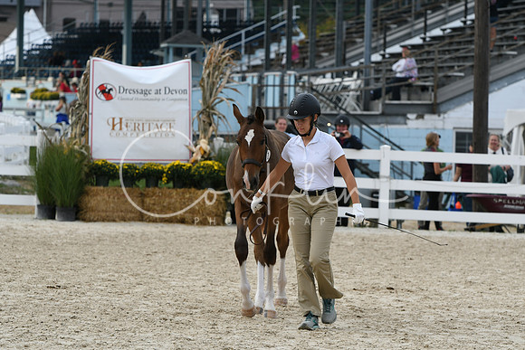 HSM_2436