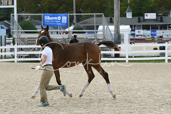 HSM_2438