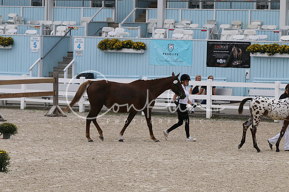 IMG_4030