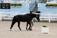IMG_3880