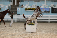 RJC32244
