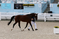 IMG_4159