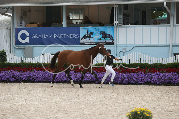 RJC32149