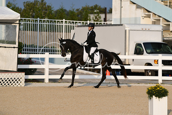 HSM_0293