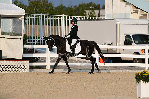 HSM_0294
