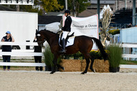 HSM_0375