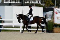 HSM_0377