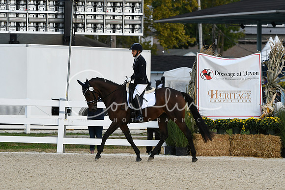 HSM_0399