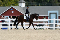 HSM_0466