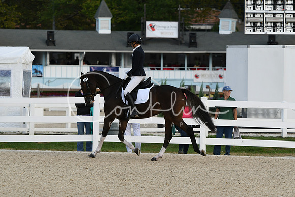 HSM_0390