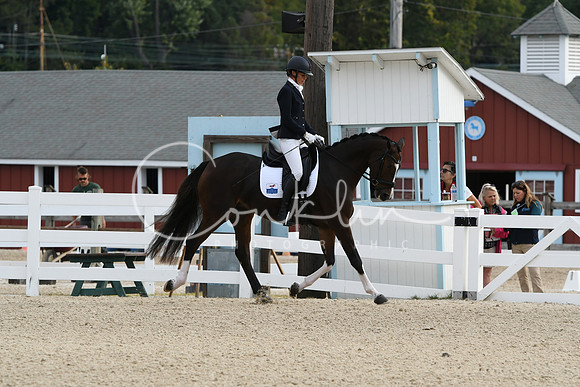 HSM_0462