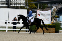 HSM_0381