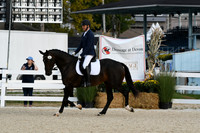 HSM_0384