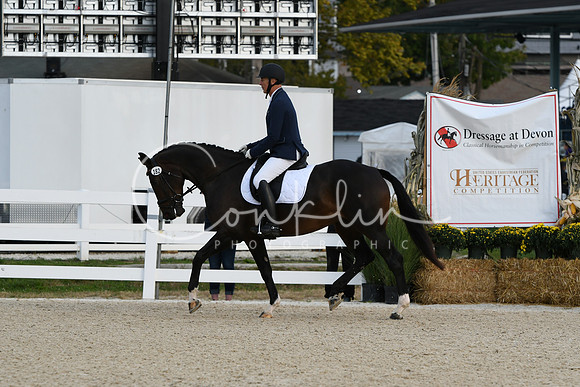 HSM_0397