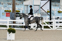 HSM_0372