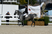 HSM_0391
