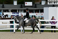 HSM_0432