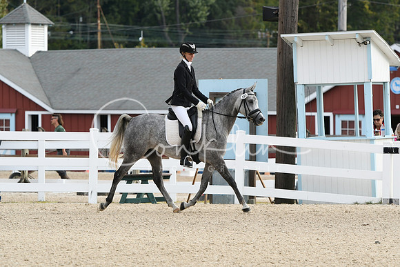 HSM_0473