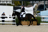HSM_0393