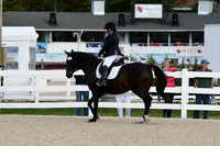 HSM_0386