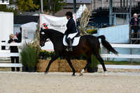 HSM_0407