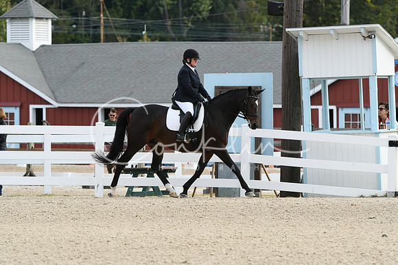 HSM_0460