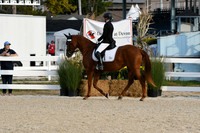 HSM_0369