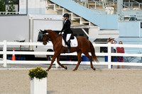 HSM_0452