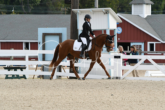 HSM_0458