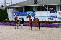 IMG_3397