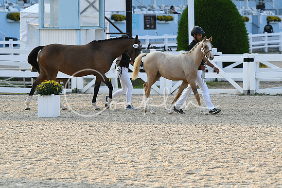 HSM_2751