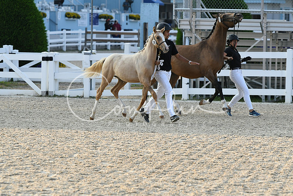 HSM_2762