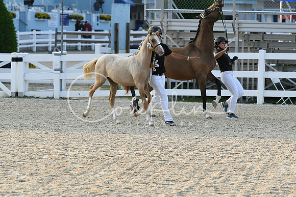HSM_2763