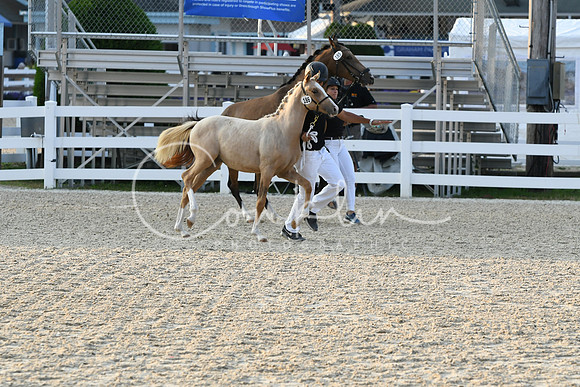 HSM_2764