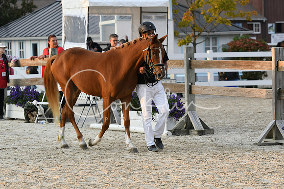 HSM_2833