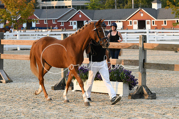 HSM_2836