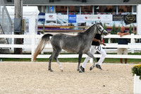 HSM_2893