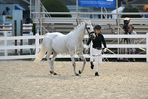 HSM_2980