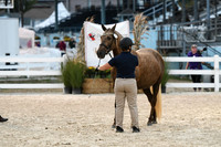 HSM_2938