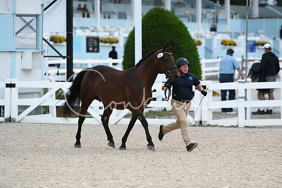 HSM_2922