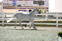 HSM_3056