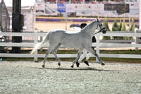 HSM_3055