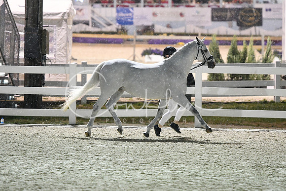 HSM_3055