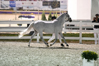 HSM_3058