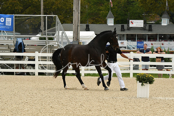 HSM_1639