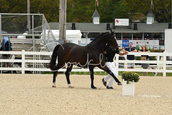 HSM_1640