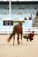 RJC31398